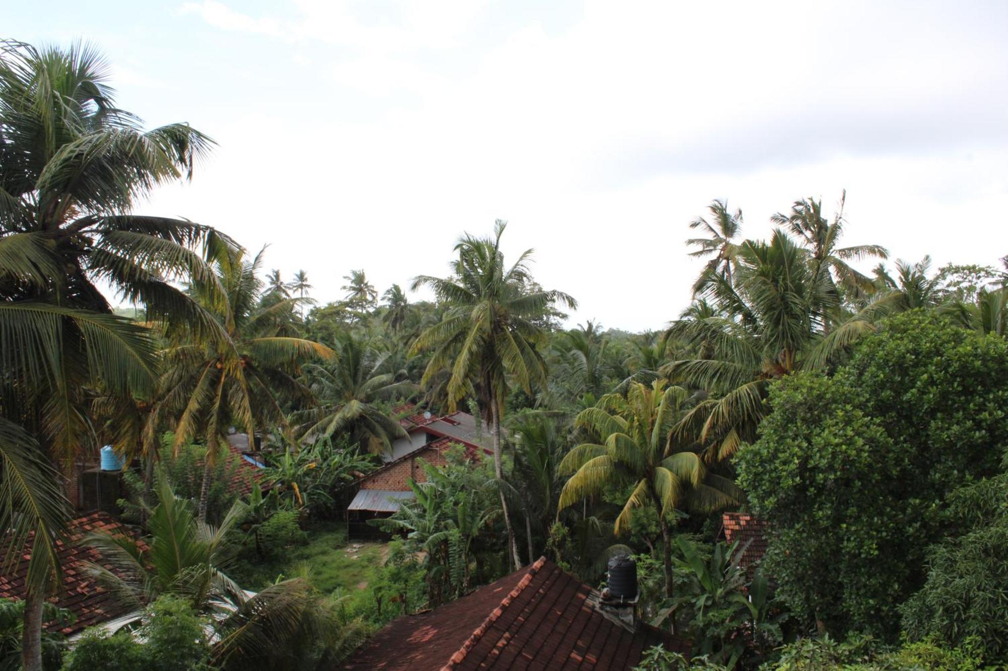 Sun & Moon Hostel Mirissa Exterior photo